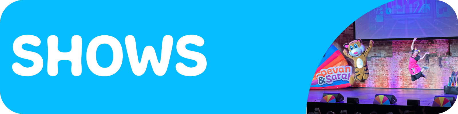 Linktree Header - Shows