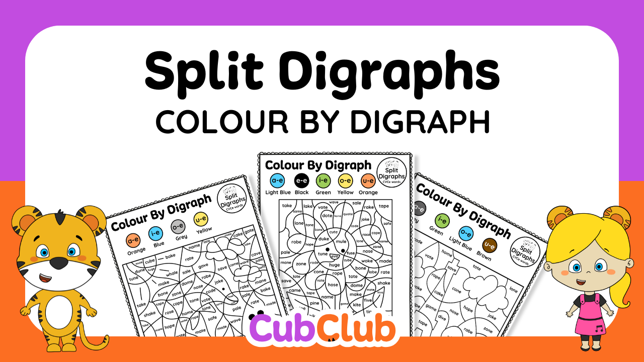 Split Digraphs Colour by Digraph