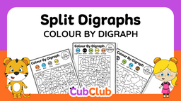 Split Digraphs Colour by Digraph