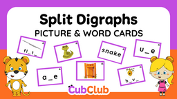 Split Digraphs Picture and Word Cards